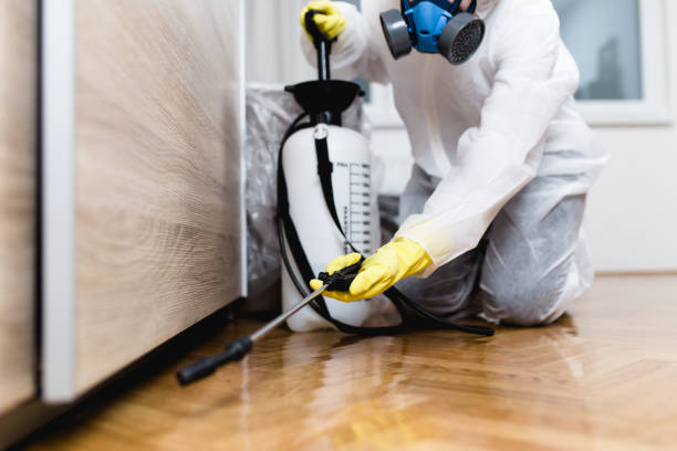 Best Pest Control Near Me  in Fairfax, IA