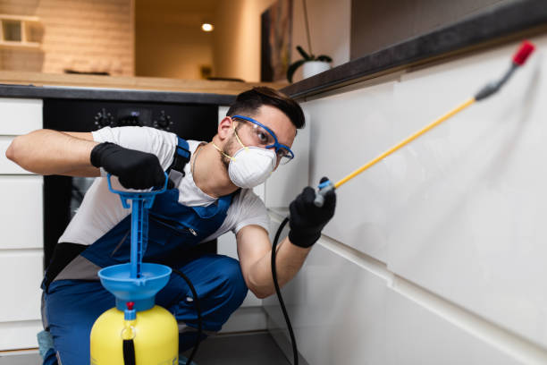 Best Pest Control Near Me  in Fairfax, IA
