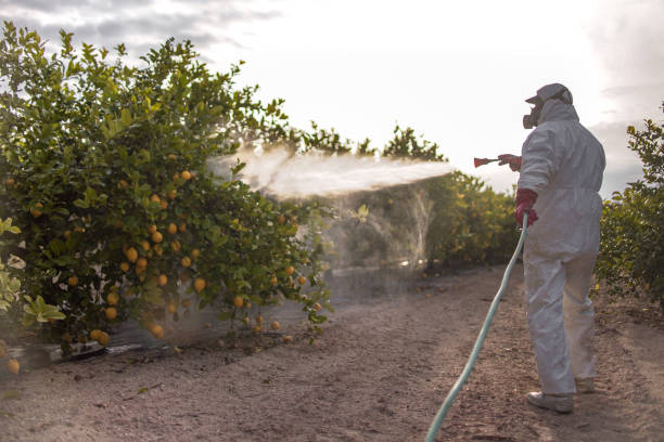 Best Local Pest Control Services  in Fairfax, IA