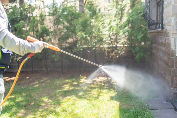 Best Residential Pest Control  in Fairfax, IA
