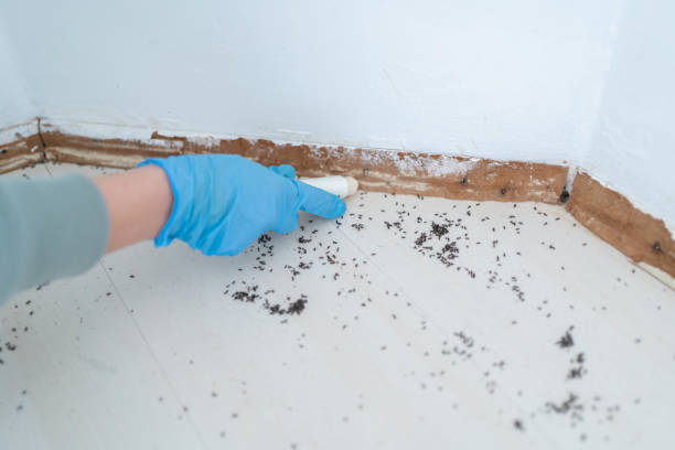 Best Exterminator Services  in Fairfax, IA